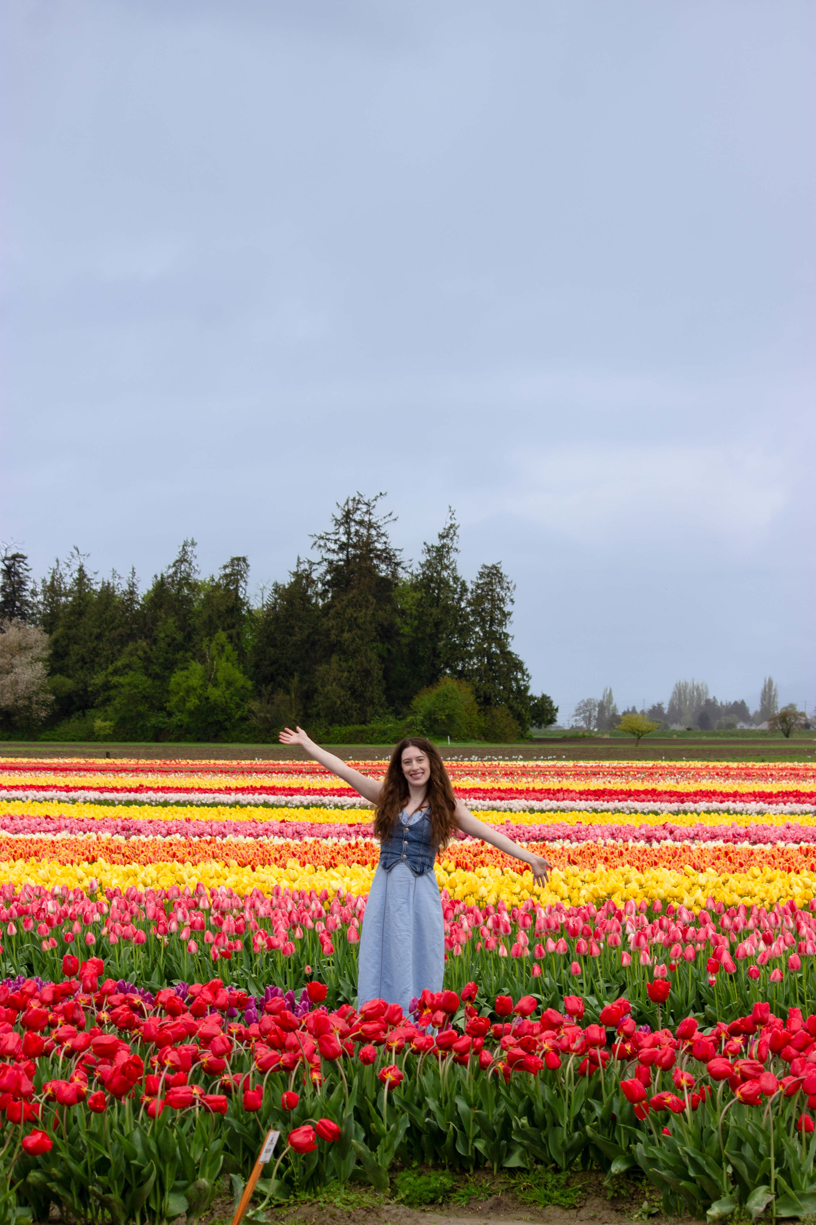 Bella posing at Tulip Town among vibrant red, yellow and orange tulips.